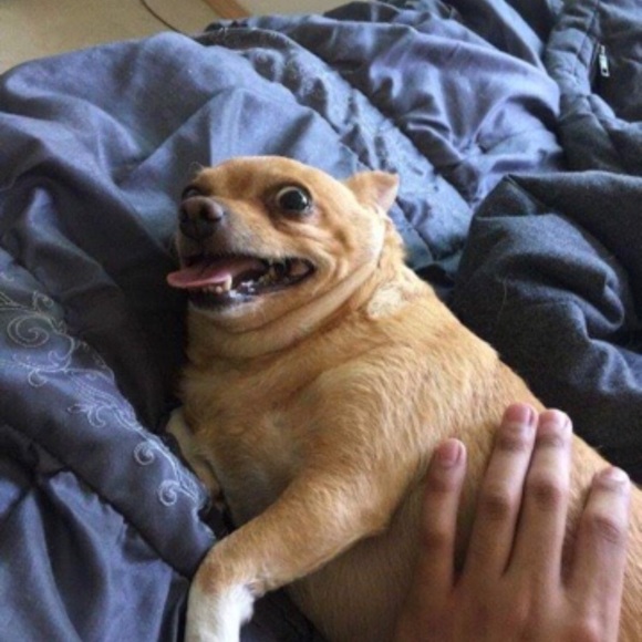 Meet your Posher, Aide - Picture 1 of 1